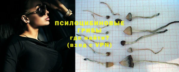 трава Алзамай