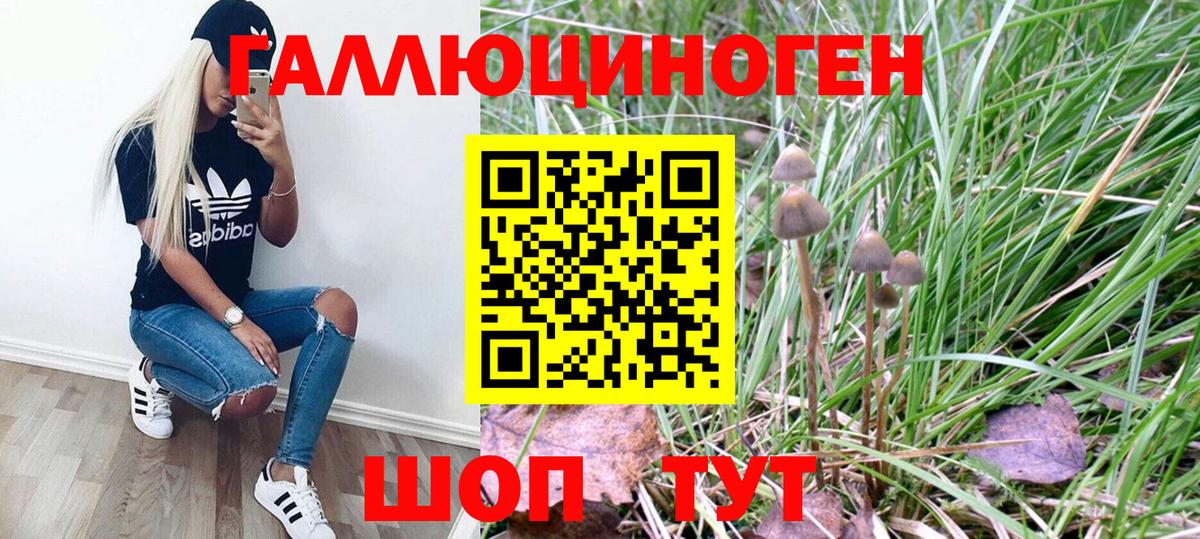 Псилоцибиновые грибы MAGIC MUSHROOMS Черкесск